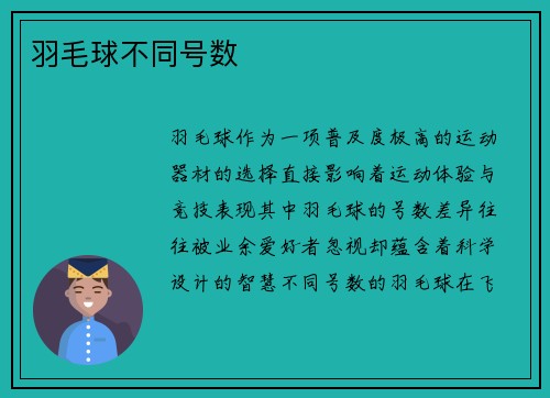 羽毛球不同号数
